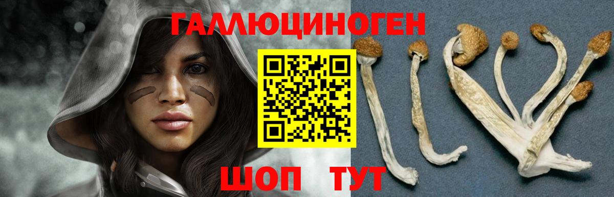Псилоцибиновые грибы прущие грибы Кизилюрт